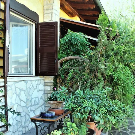 I Gerani Rossi-2